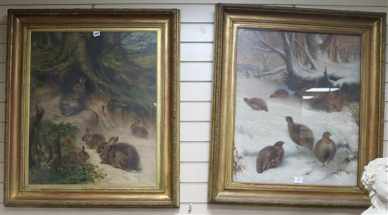 Henry Grant, pair of oils on canvas, rabbits beside a burrow and Tarmagan in winter, signed and dated 1909, 75 x 62cm